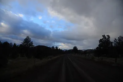 DSC_2949 (Large).JPG